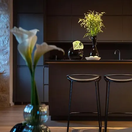 Apartment Two Bedroom Luxury Sorgo Cerva In Old Town